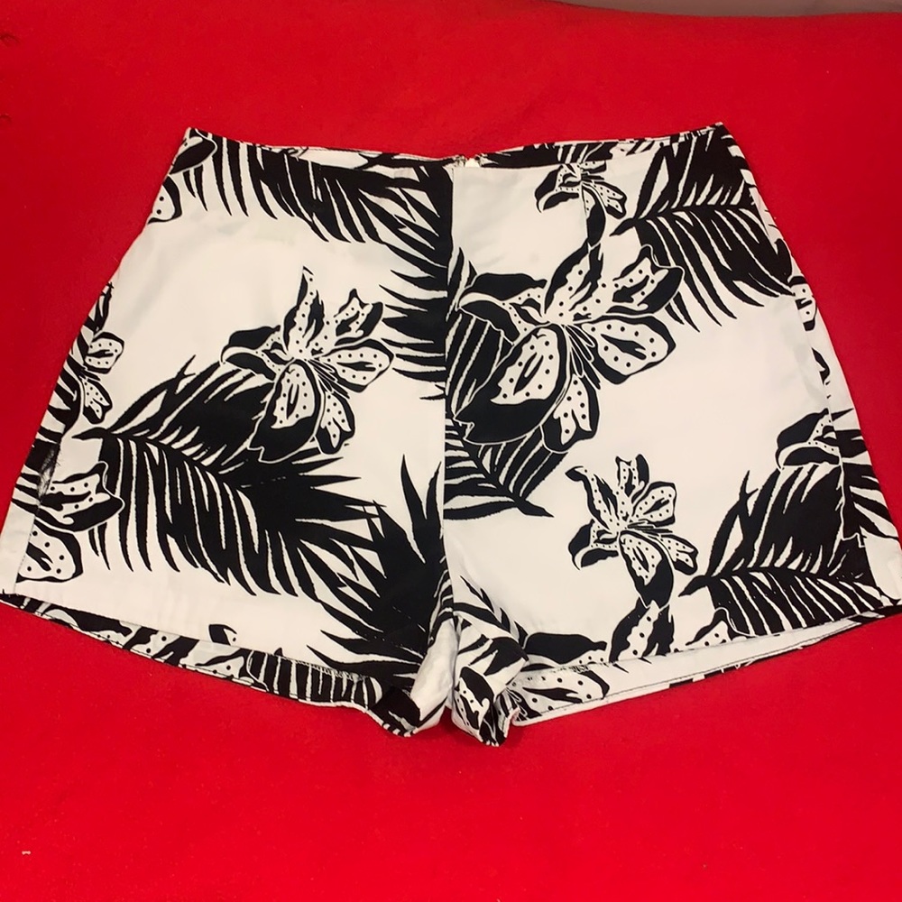 BB Dakota high waist shorts